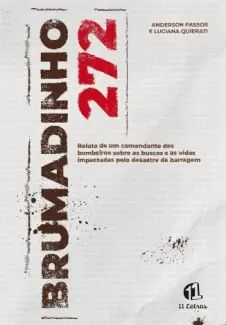 Brumadinho 272